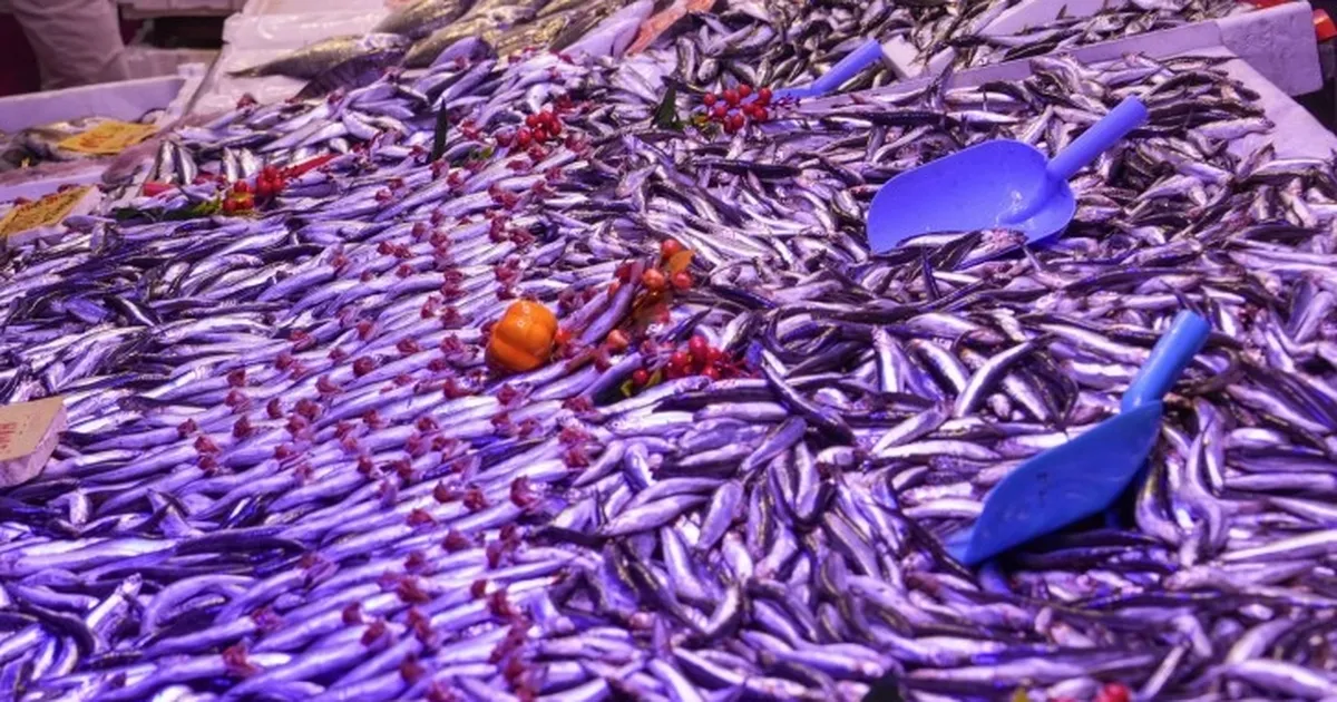 eskisehirde balik satis yerlerine ortak denetim qShVOrfi