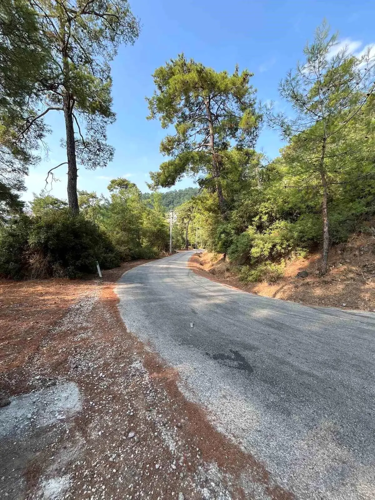 marmariste yangin onleme calismalari yayginlasirken MRUZ6cmq