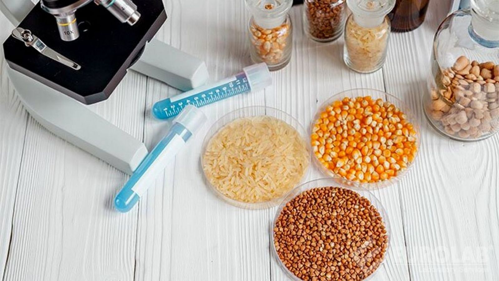 tmr ve kaba yemlerde yem analizi makinesi avantajlari aF51Gp1M